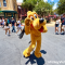 Pluto Disneyland