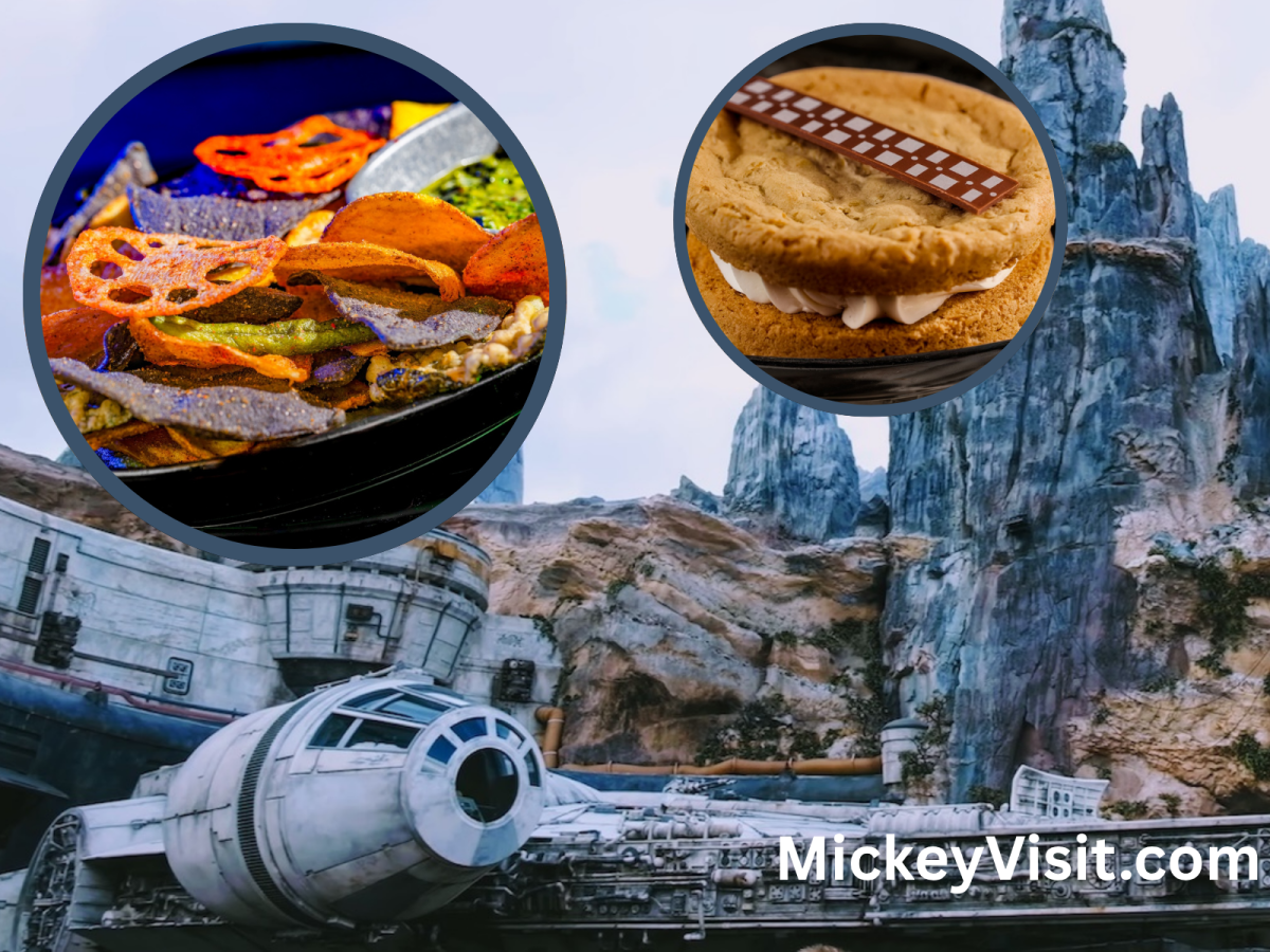 Star Wars land