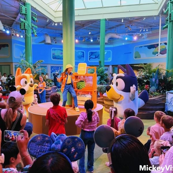 Bingo and Bluey dance party
