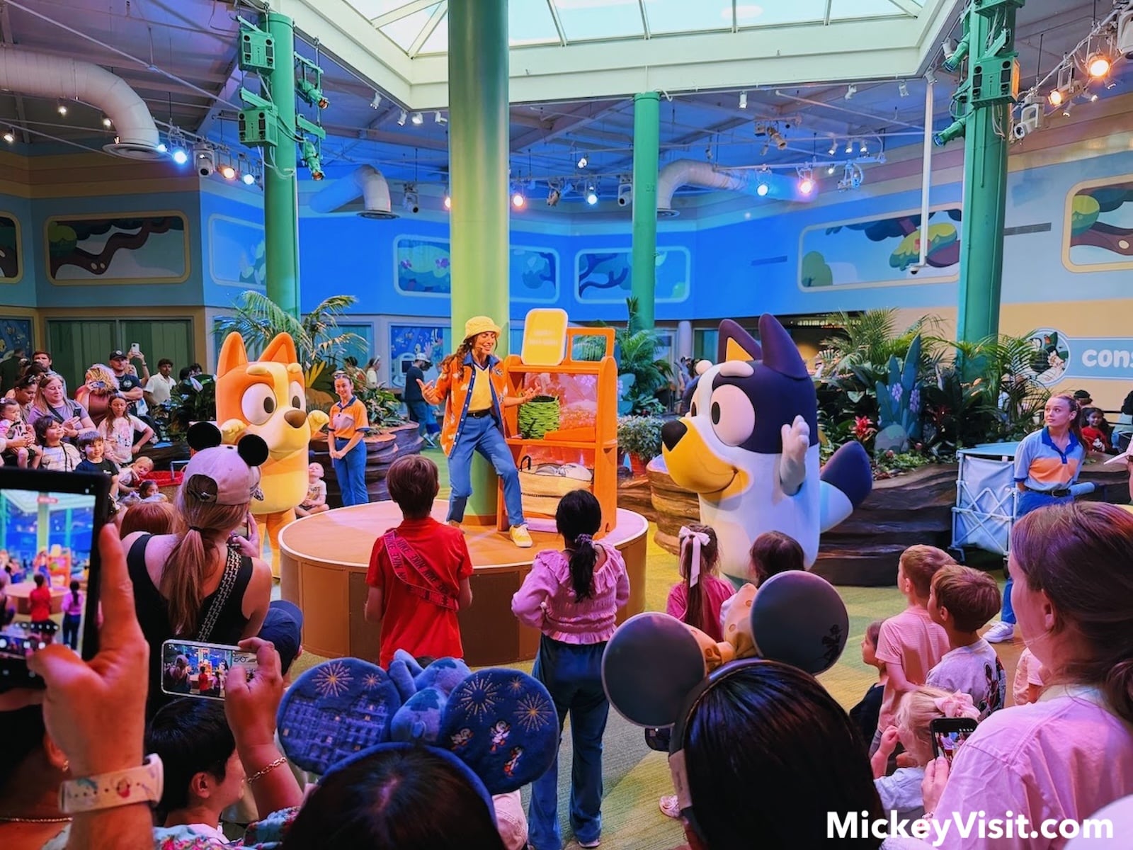 Bingo and Bluey dance party