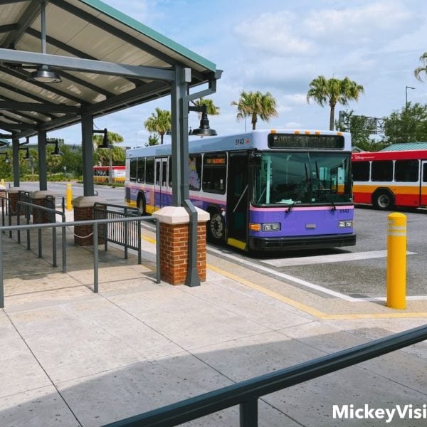 Bus stop