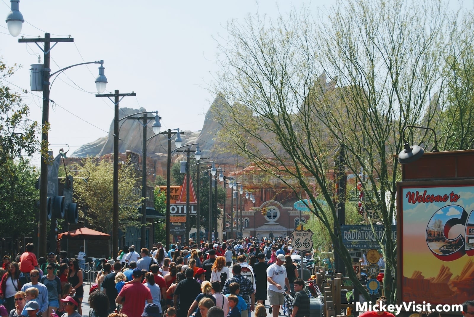 Cars Land crowds