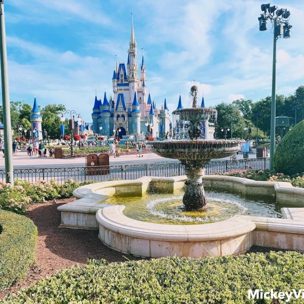 Castle with fountain