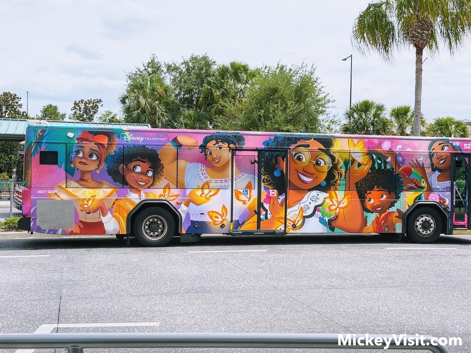 Encanto bus