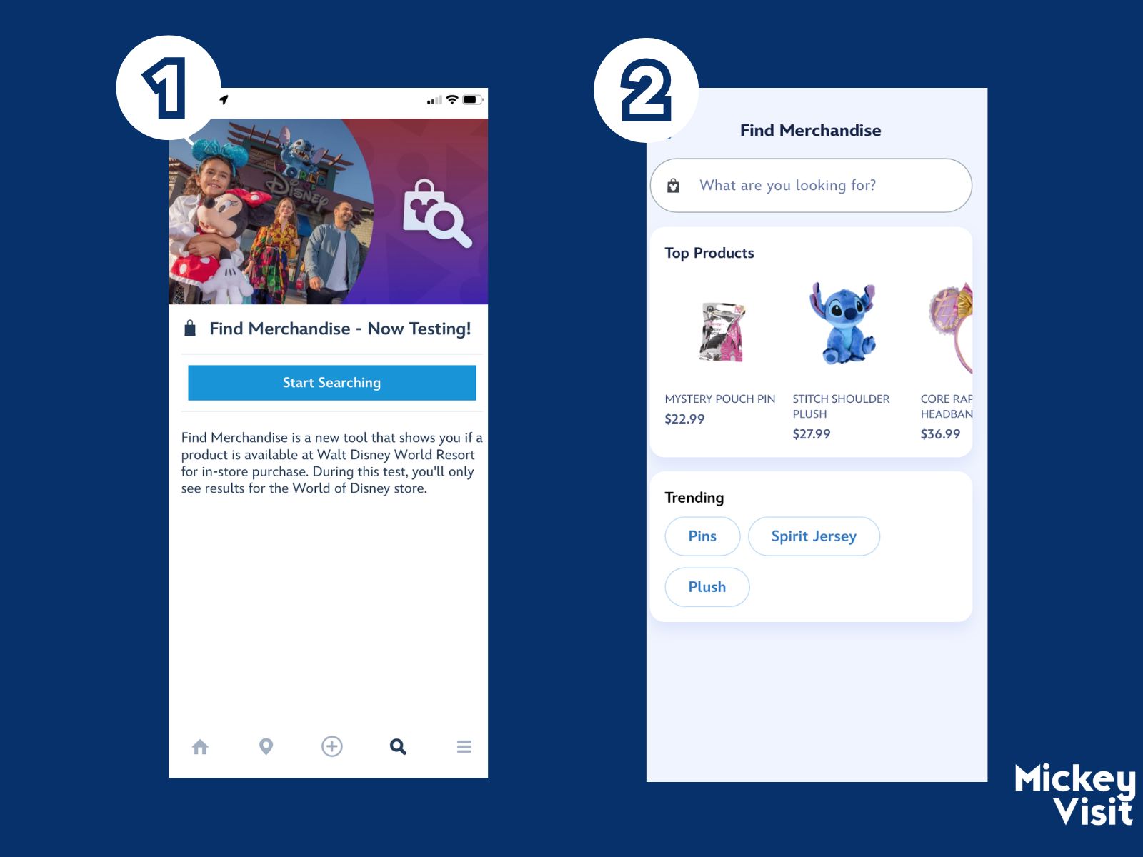 Find Merchandise test screen interface