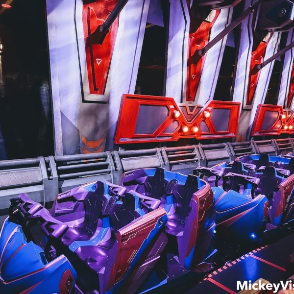 Roller coaster ride vehicles