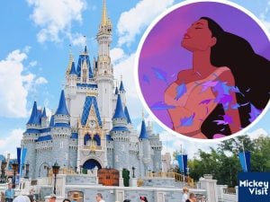 Cinderella Castle, Pocahontas