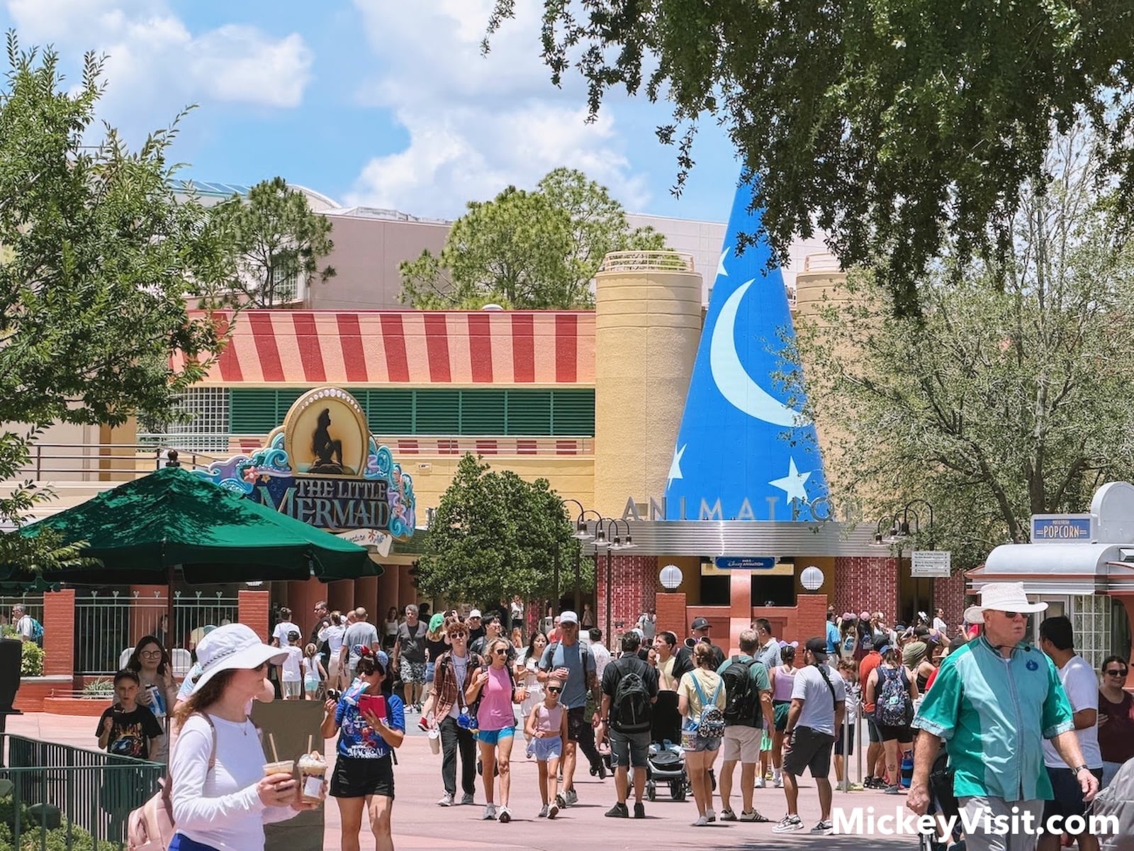 Sorcerer's hat