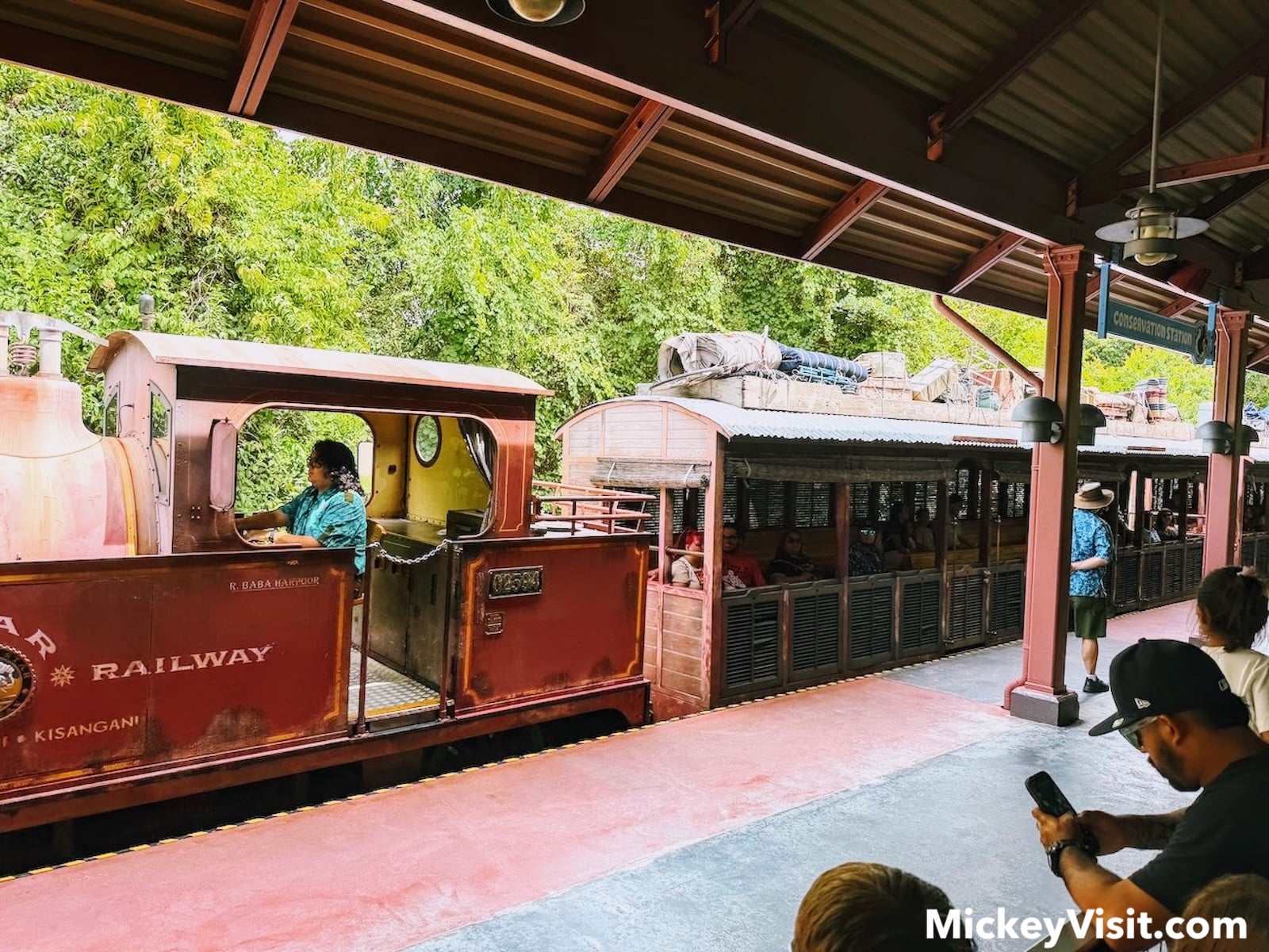 Wildlife Express train