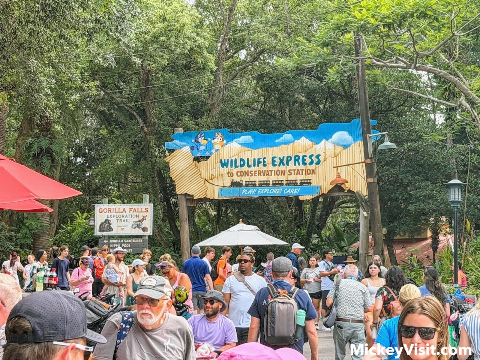 Wildlife Express sign