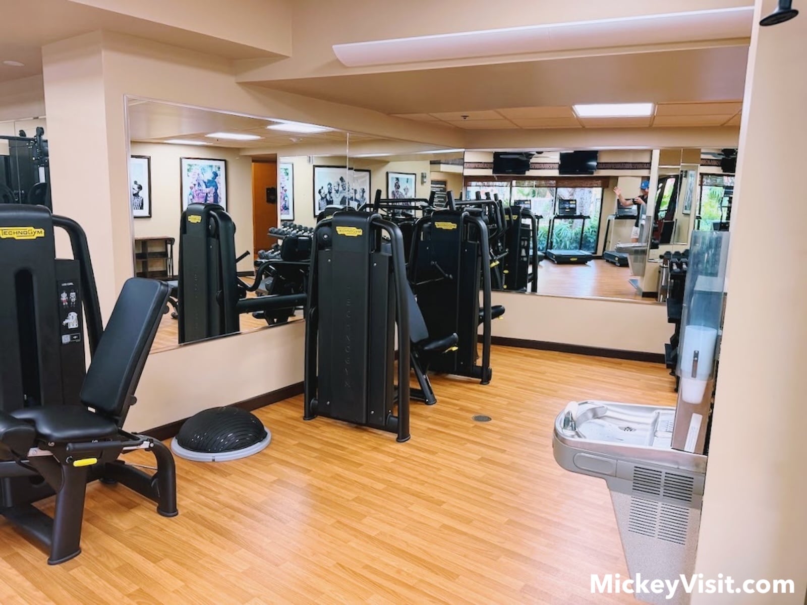 Gym equipment