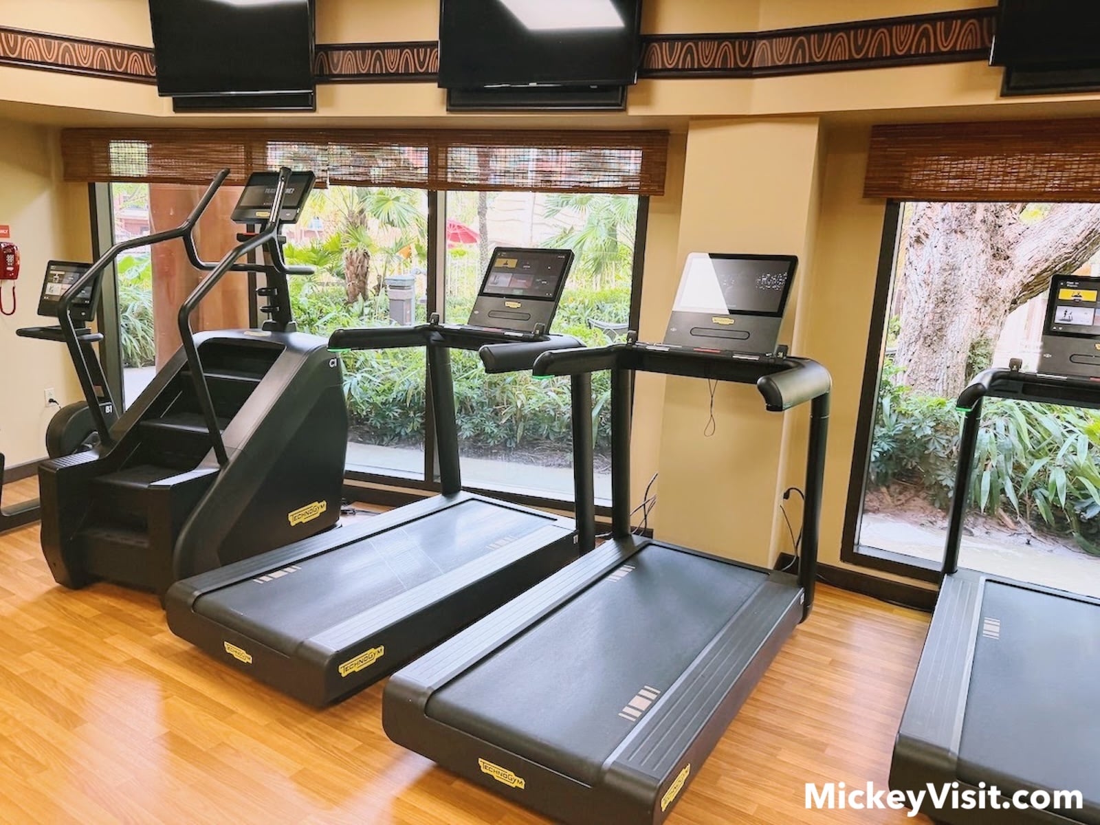 Gym equipment