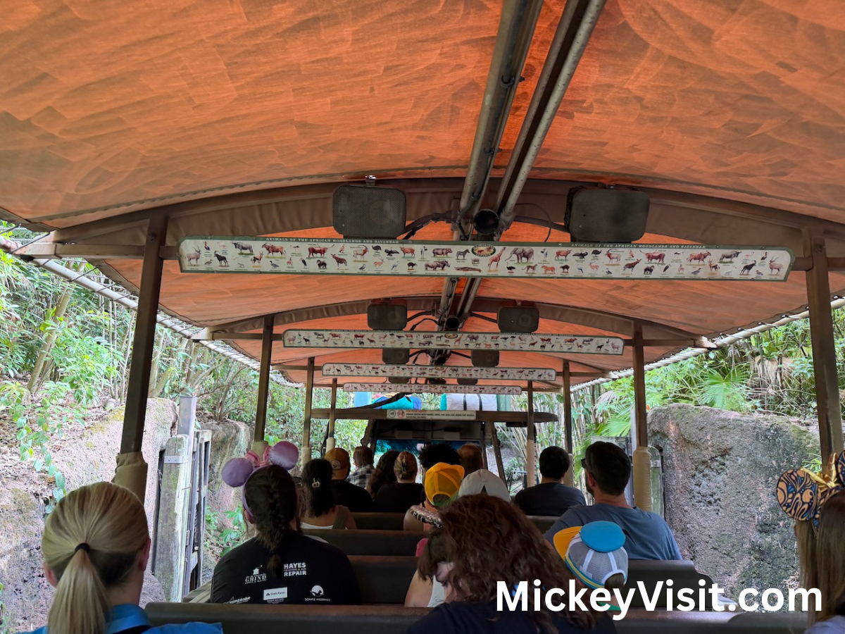 Kilimanjaro Safaris truck