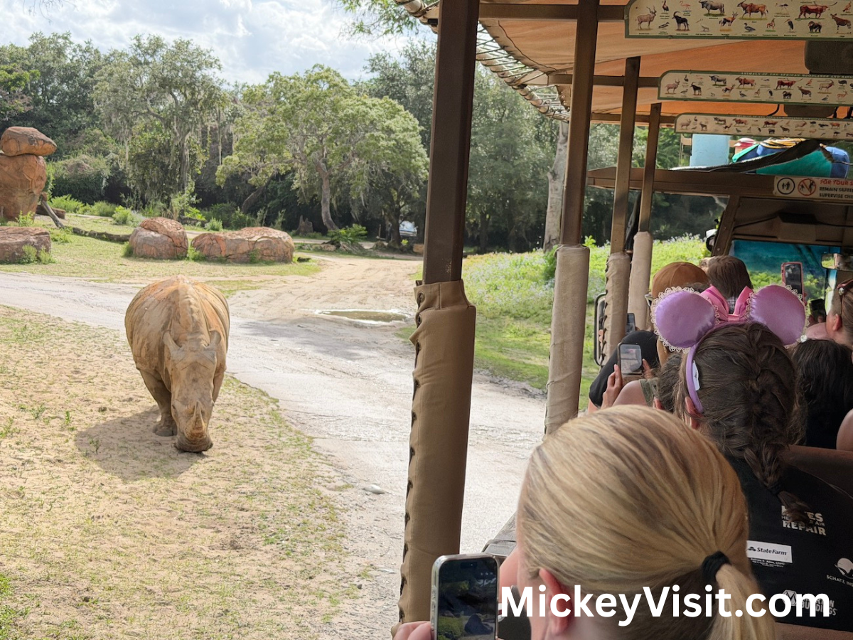 Kilimanjaro Safaris