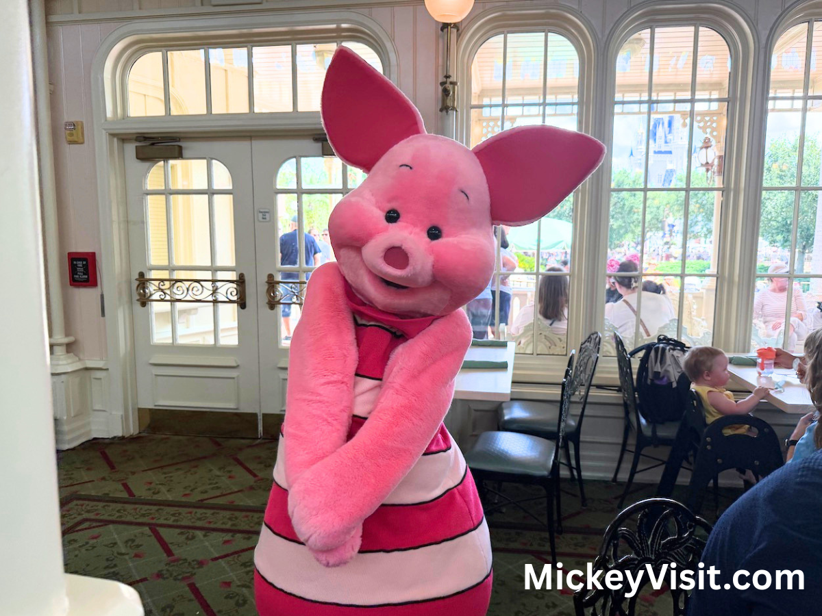Piglet