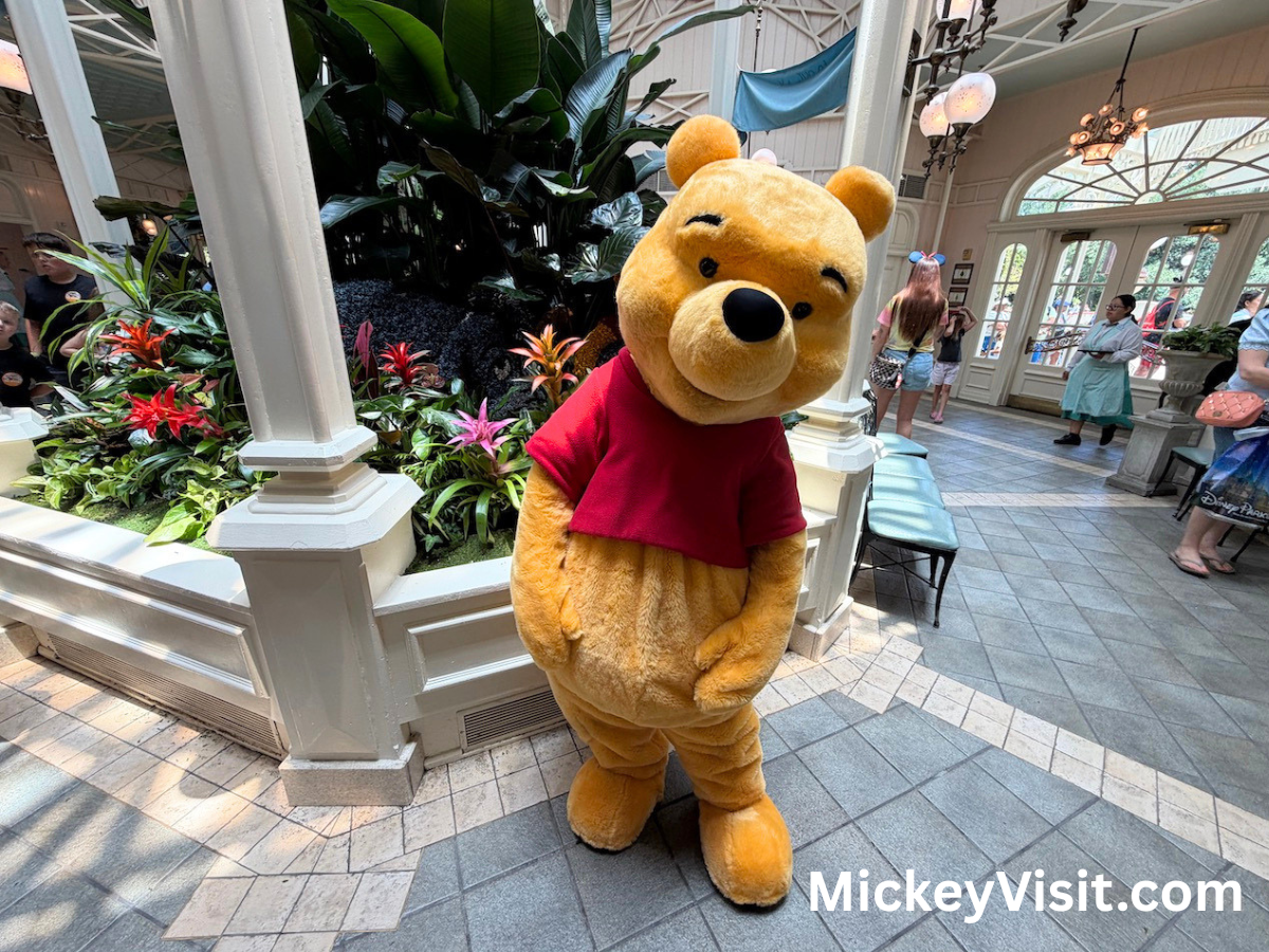 Winnie the Pooh