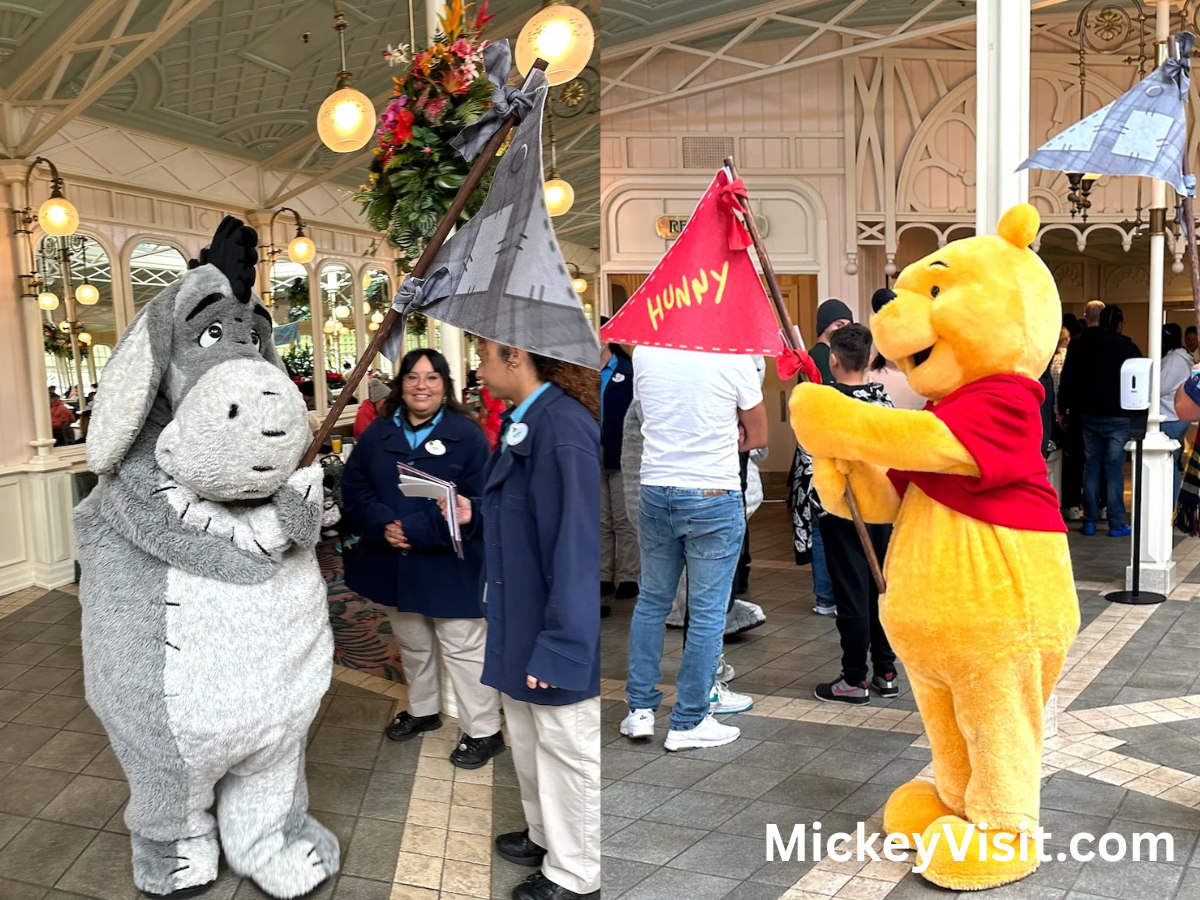 Winnie the Pooh