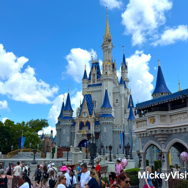 Disney world castle