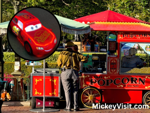 Disneyland popcorn bucket