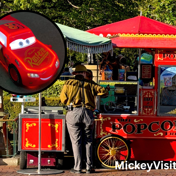 Disneyland popcorn bucket