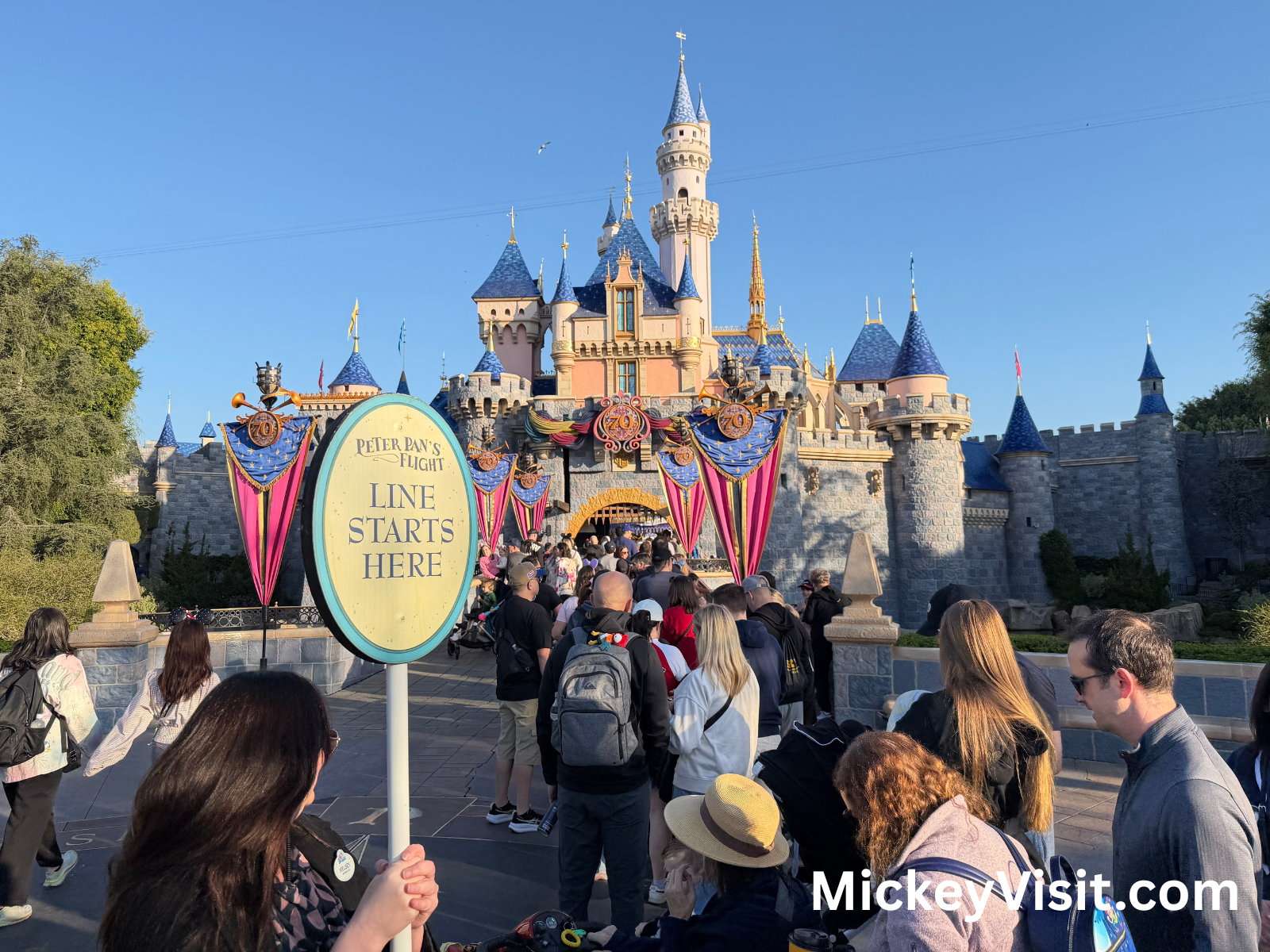 Disneyland castle