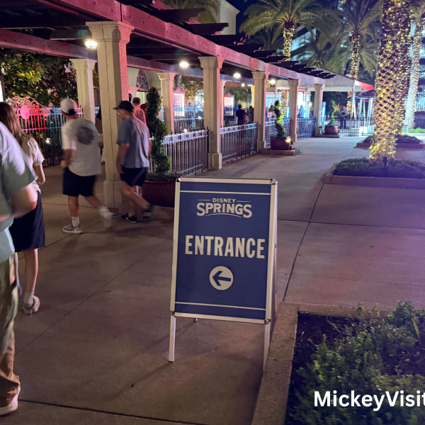 Disney Springs