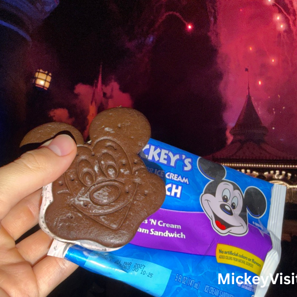After Hours Disney World