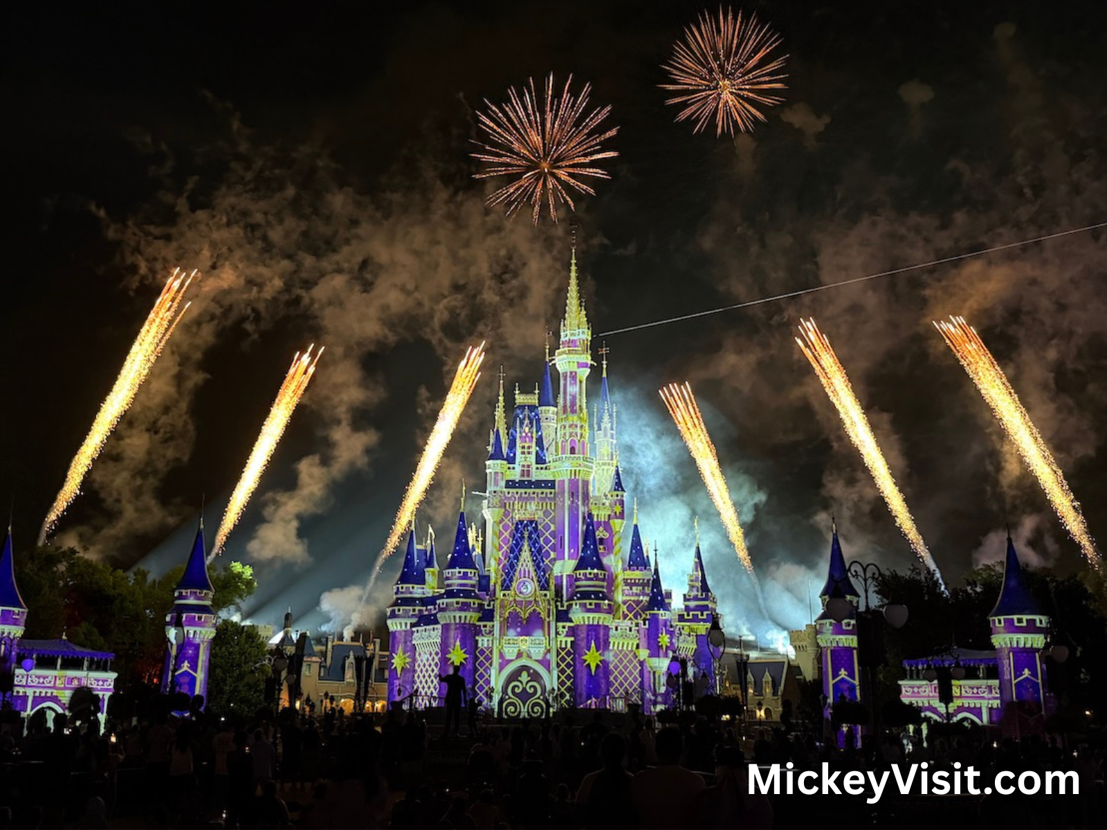 Disney World castle fireworks