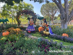 Halloween themed decorations at Downtown Disney