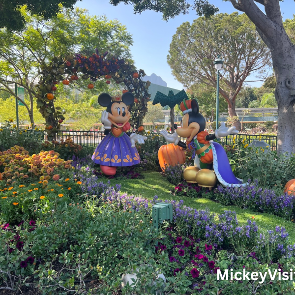 Halloween themed decorations at Downtown Disney