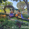 Halloween themed decorations at Downtown Disney