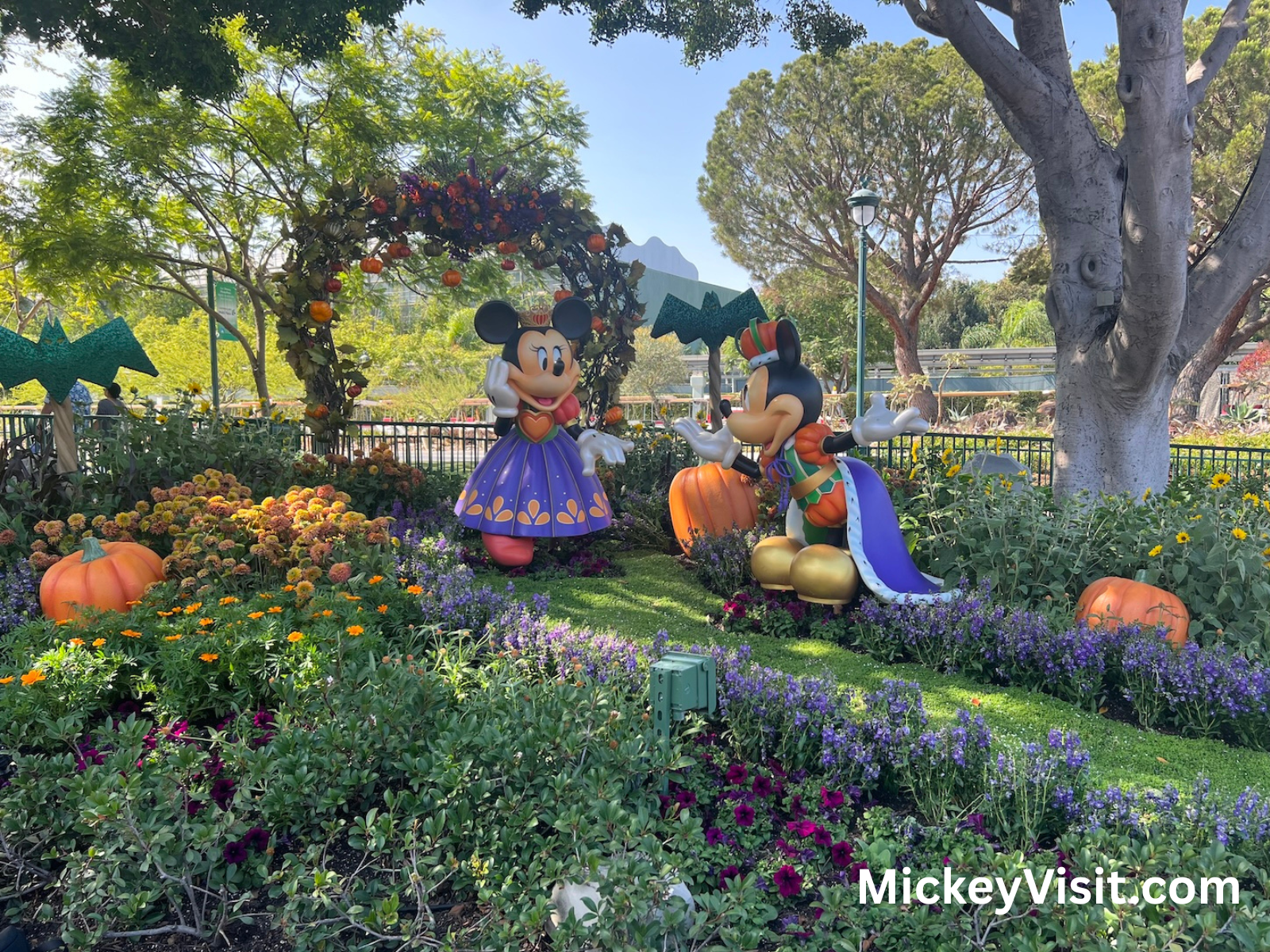 Halloween themed decorations at Downtown Disney