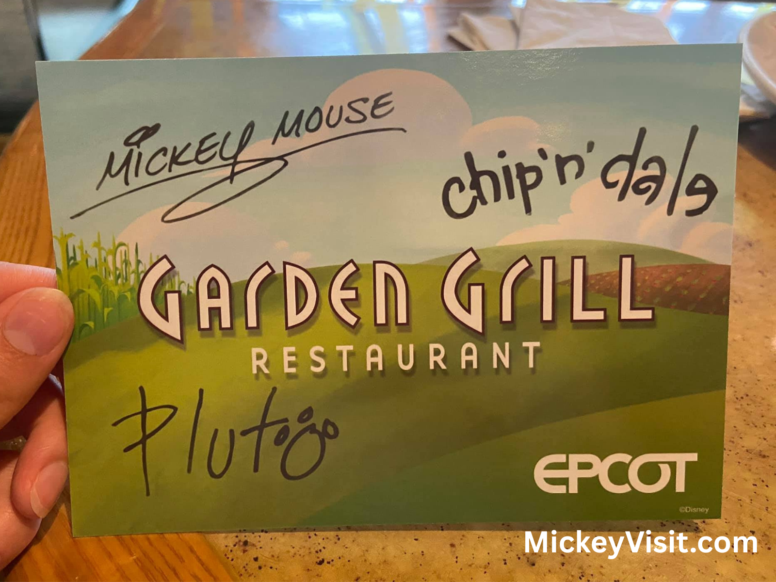 Character autographs on a postcard from Garden Grill