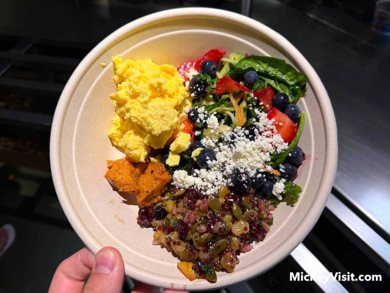animal kingdom lodge bowl breakfast