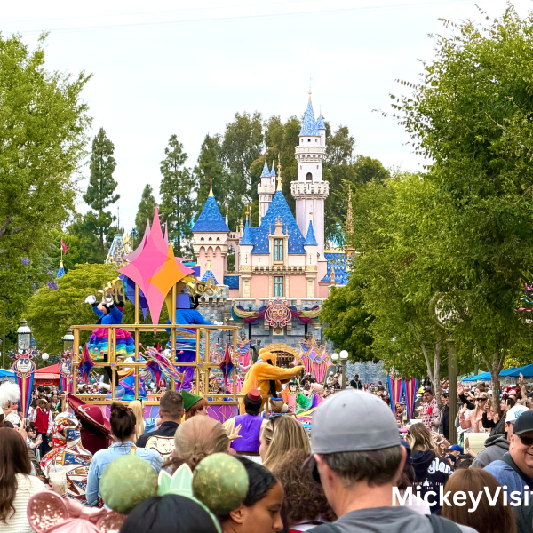 Crowd in front of the castle at Disneyland
