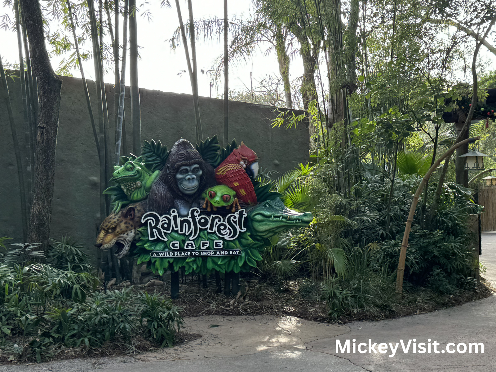 Sign for Rainforest Cafe at Animal Kingdom