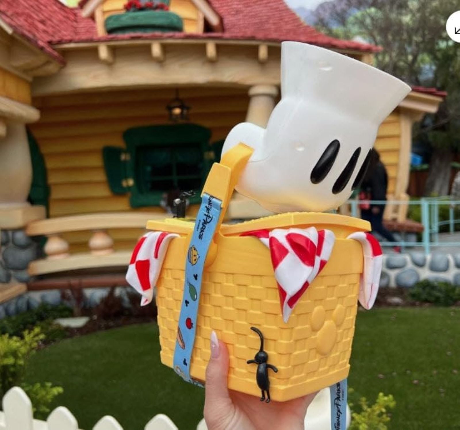 Toontown popcorn bucket
