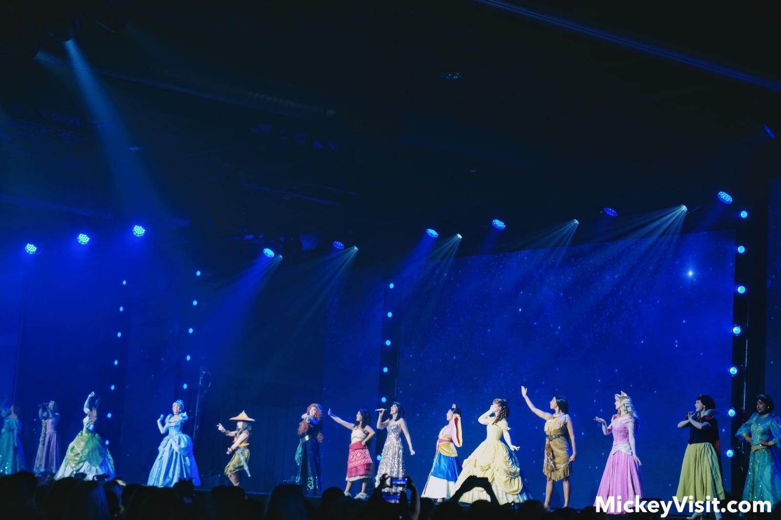 All Disney Princesses