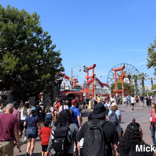 Disney California Adventure walkway crowds