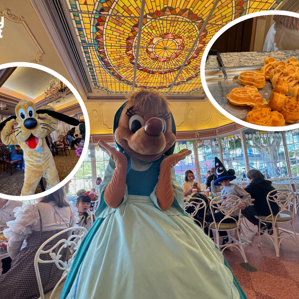 Disneyland character dining closure