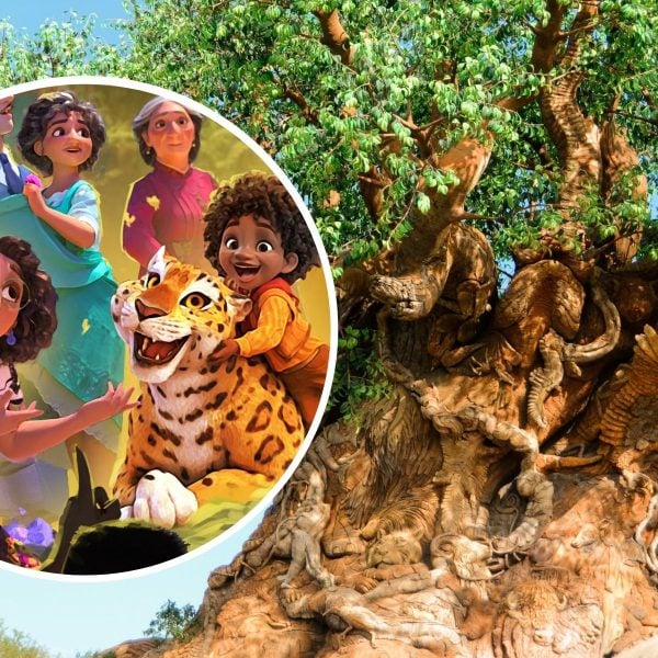 Encanto characters, Tree of Life