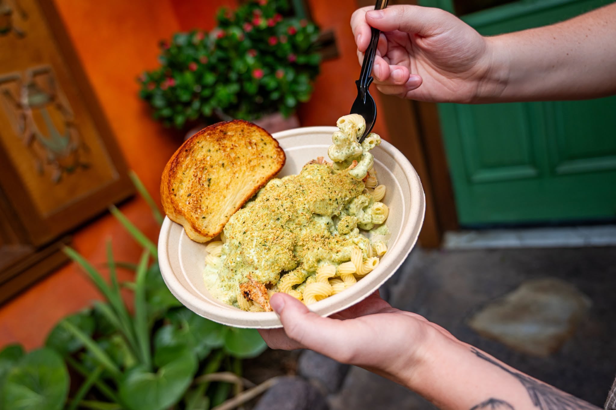 Animal Kingdom pasta