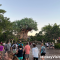 Tree of Life at Discovery Island