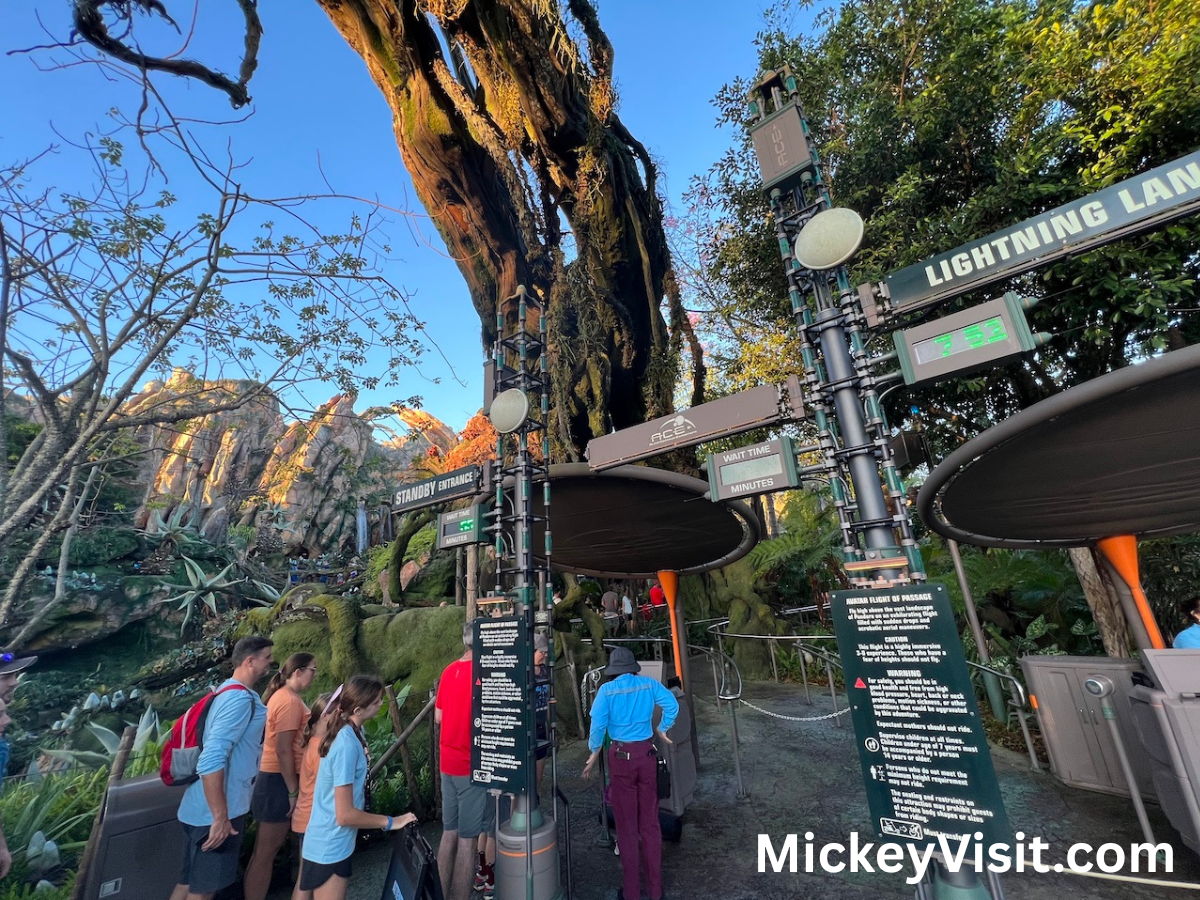 Pandora entrance to Flight of Passage