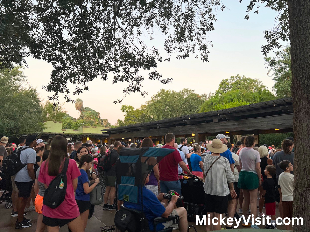 Animal Kingdom crowds at entrance