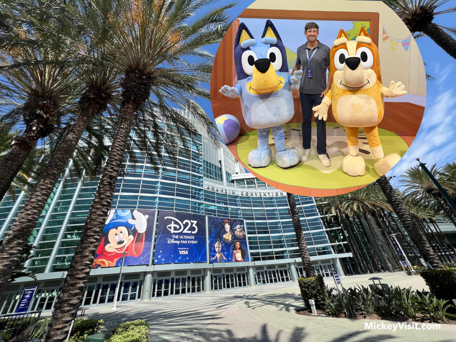 I've Been to Disney's Biggest Fan Event For the Past 13 Years