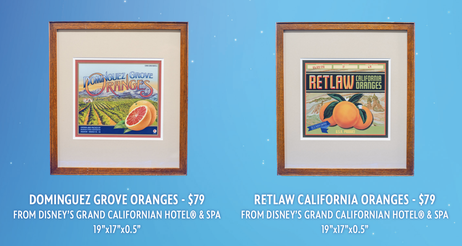 D23 Auction merch