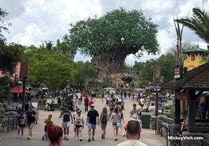 animal kingdom tree of life