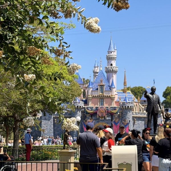 disneyland castle on main street