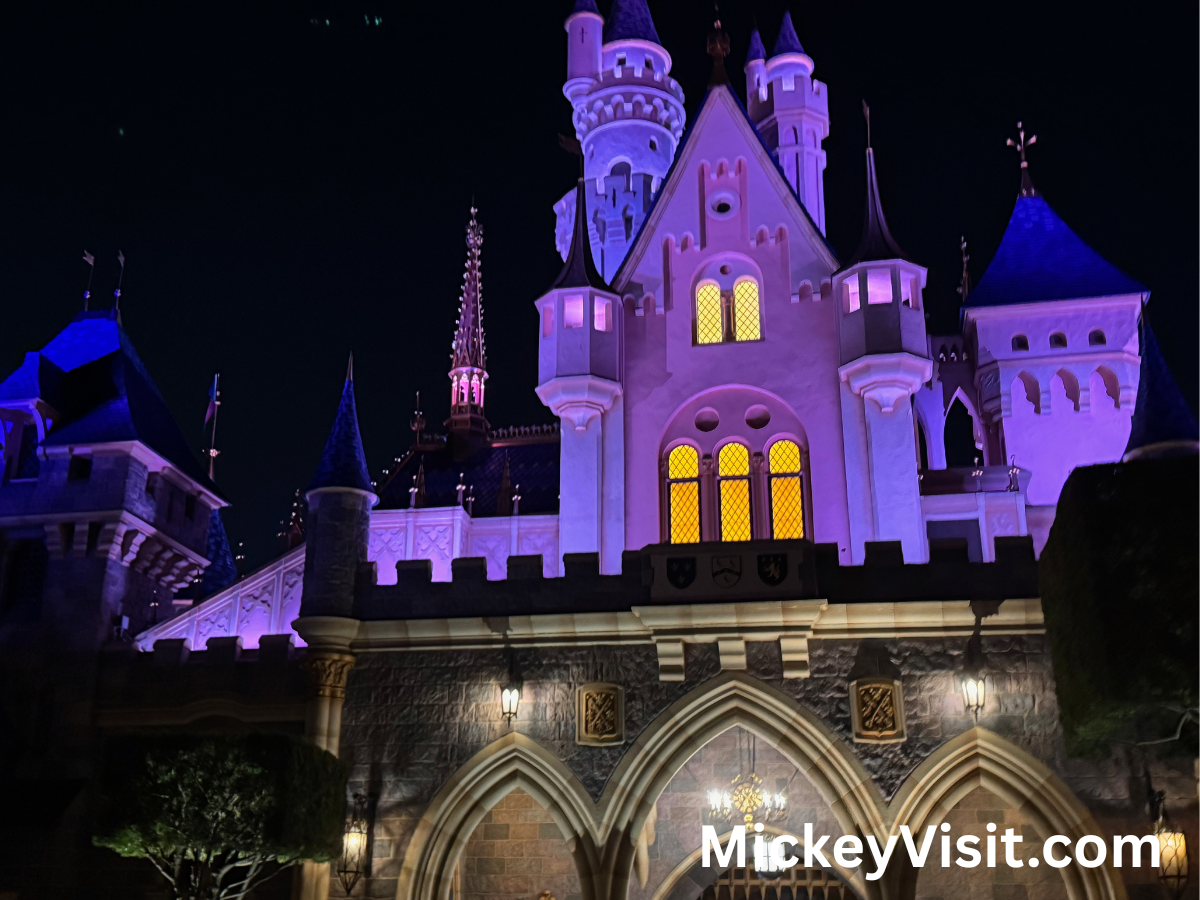 Disneyland castle